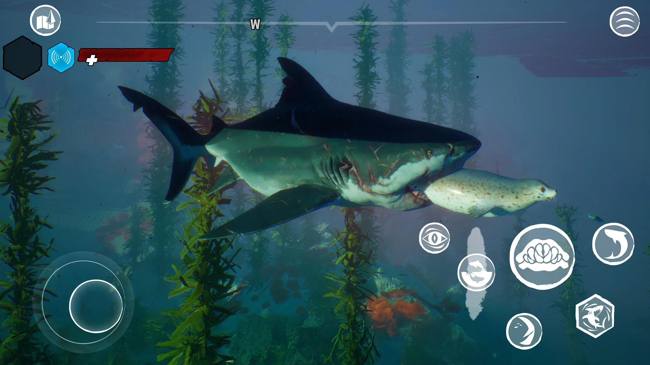 图片[5]-食人鲨手机版（Maneater APK）中文版下载-蒸汽游戏宝库 - 高质量Steam单机游戏下载站