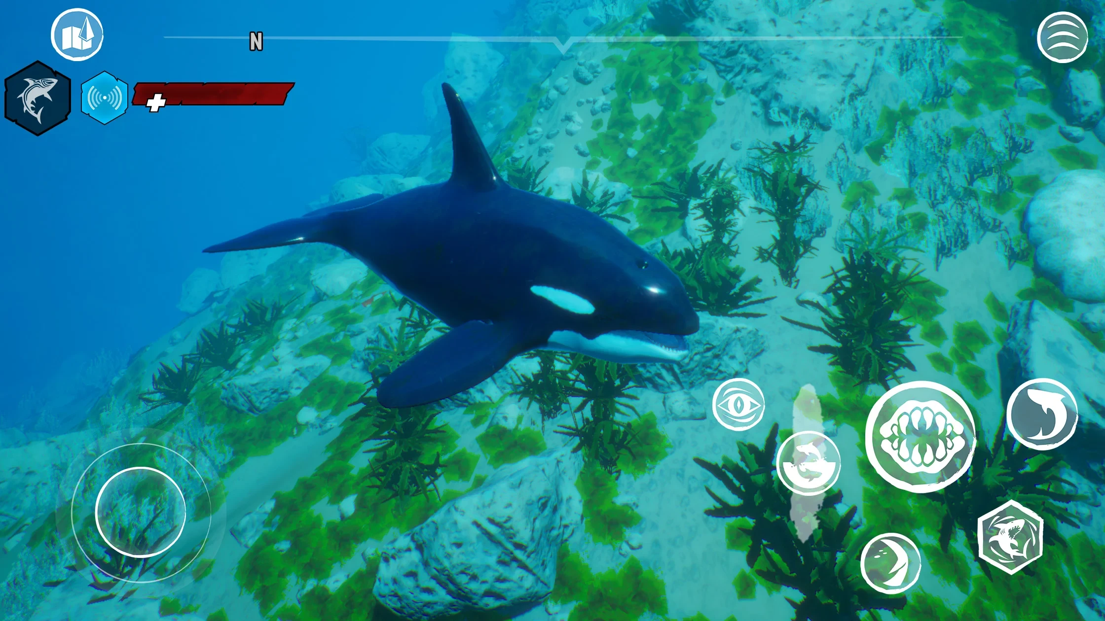 图片[9]-食人鲨手机版（Maneater APK）中文版下载-蒸汽游戏宝库 - 高质量Steam单机游戏下载站